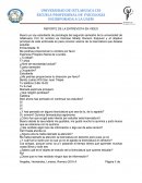 REPORTE DE ENTREVISTA EN VIDEO