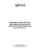 Análisis Ambiental Proyecto de Minería.