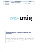 Inteligencias Multiples.