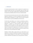 CONTROL INTERNO DE AUDITORIA