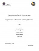 Experimento: Antioxidantes natural y artificiales