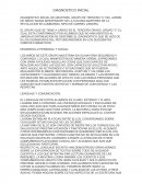 DIAGNOSTICO INICIAL.