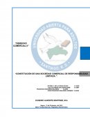 Constitución de una sociedad comercial de responsabilidad limitada