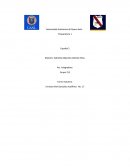 Tema: Integradora de español.