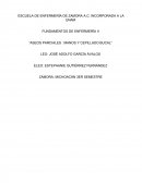 Aseos bucales- ESCUELA DE ENFERMERÍA DE ZAMORA A.C. INCORPORADA A LA UNAM