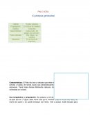 Plantas medicinales.