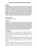 GESTIÓN DE LOS RECURSOS ENERGÉTICOS EN AREQUIPA.