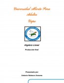 Los conjuntos, sistemas de ecuaciones lineales