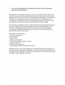 ¿Qué son los generadores o inductores de costos y cuál su importancia para la toma de decisiones?