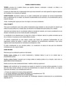 TEORIA CONSTITUCIONAL- GUIA TEORIA DEL DELITO