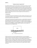 Problemas de suelos en Ingeniería Civil.