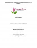 PLAN DE EXPORTACIÓN A ALEMANIA, MALTEADA ENERGÉTICA EN POLVO A BASE DE AMARANTO.