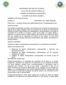 PRACTICA 1.- TEJIDOS VEGETALES, MERISTEMATICOS Y PARENQUIMATICOS.
