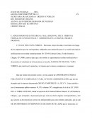 Derecho juicio de mulidad.