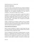 ANALISIS MACROECONOMICO.