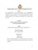 EL ALCOHOLISMO Y SU CONSECUENCIA EN EL RENDIMIENTO ACADEMICO DE LOS ALUMNOS DEL SEGUNDO AÑO DE BACHILLERATO