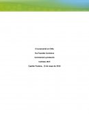 El ceremonial en chile