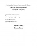 Ensayo de una política positiva.