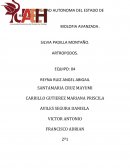 BIOLOGIA AVANZADA - ARTROPODOS