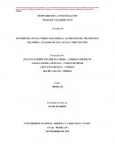 ESTUDIO DE LOS FACTORES ASOCIADOS A ACCIDENTES DE TRANSITO EN COLOMBIA.