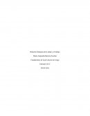 Prevención de riesgo iacc semana 1