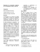 Separación de compuestos orgánicos por cromatografía en papel y capa fina