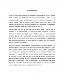 Las grandes Características de un proyecto.