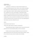 Riesgo externo: peligros naturales, de la tradición y la naturaleza pura