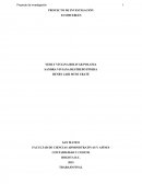 PROYECTO DE INVESTIGACIÓN - ECOMUEBLES