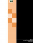 Necesidades de deteccion. El Banco del Estado de Chile