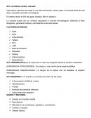 Accidente cerebrovascular ACV. Factores de riesgo