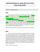 PSICOPATOLOGIA AL LLARG DEL CICLE VITAL: Casos Grups partits