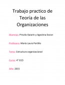 Las Teoría de las organizaciones.