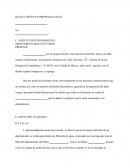 DENUNCIA DAÑOS EN PROPIEDAD POR ESCRITO.