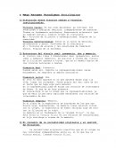 Mega resumen paradigmas sociológicos