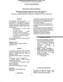 Movimiento uniforme rectilineo