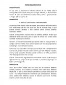 TEXTO ARGUMENTATIVO "AMOR DE MADRE"