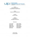 Caso Tecnologia de Informacion