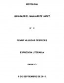 La corrupción en poza rica