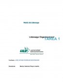 MATRIZ DE LIDERAZGO.