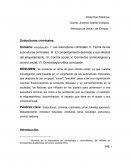 Monografia. culturas sub urbanas.