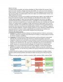 Sitema nervioso. El cráneo encierra al encéfalo