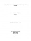 DIFERENCIAS Y SIMILITUDES DE LA TEORIA PSICOANALITICA FREUDIANA Y LACANIANA.
