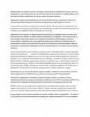 Organizaciones. Proceso Administrativo