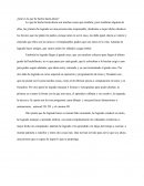 ¿Qué es lo que he hecho hasta ahora?