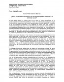 Ensayo Hidroelectrica Betania.