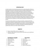 Acidos nucleicos practica- INTRODUCCION