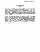 La chica danesa. Basada en hechos reales de principio del s. XX