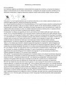 Rotámetros y conformaciones.