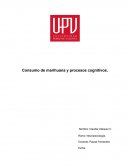 Consumo de marihuana y procesos cognitivos.